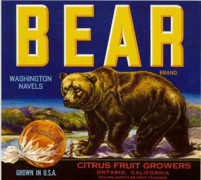 Bear Brand Washington Navel, fruit crate label
