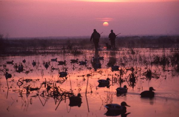 Waterfowl Heritage of Merced County