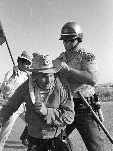 United Farmworkers Union Strike at the Kovacevich Ranch, 1973 (Photo by Rick Tejada-Flores )